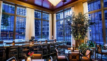 A stylish, sunlit restaurant with large windows, warm wooden decor, chairs and tables, soft candlelight, and a lush potted tree by the corner.