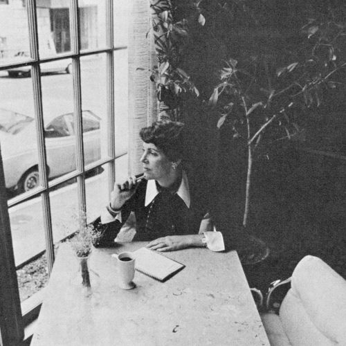 A narrow alley with a black and white cat lying near a doorway, leaning on a wall, sunlit, and shaded by a gate.