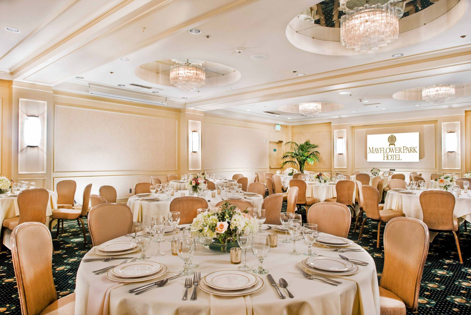 A formal banquet setup with round tables, white linens, elegant place settings, and chandeliers in a bright dining room. End.