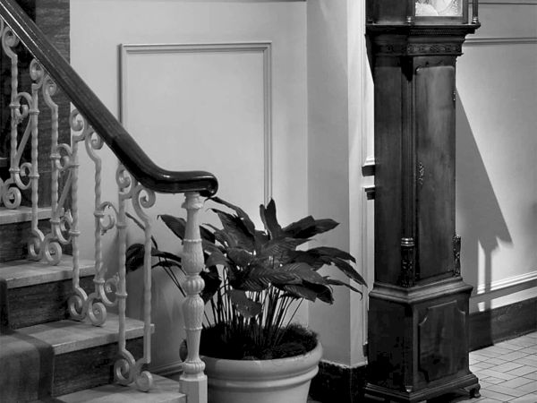 A grand staircase with ornate railings, a tall antique clock cabinet, and a potted plant by the steps, all in a classic interior.
