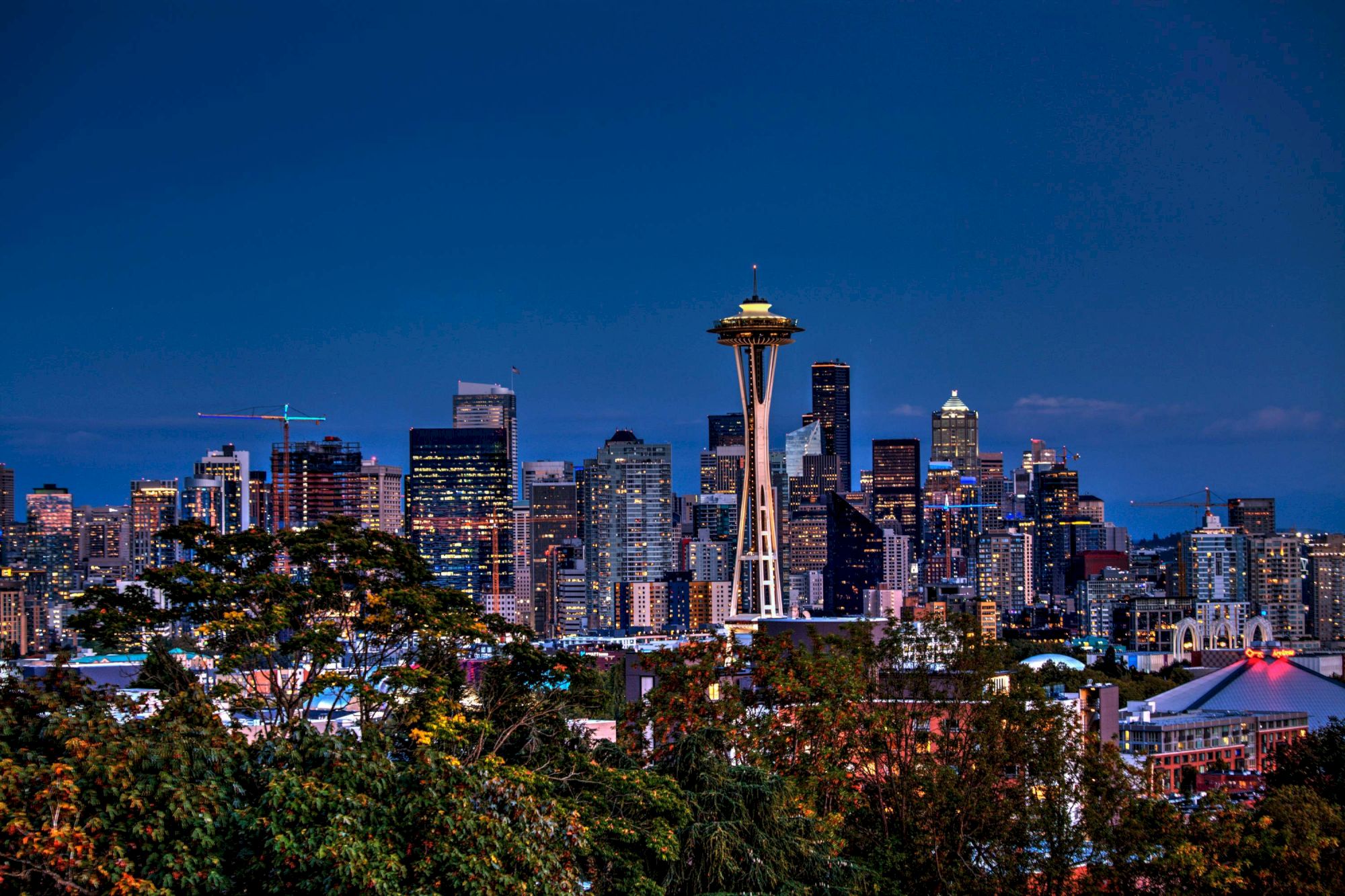 A nighttime cityscape featuring the Seattle skyline with the Space Needle rising above buildings, framed by trees in the foreground.