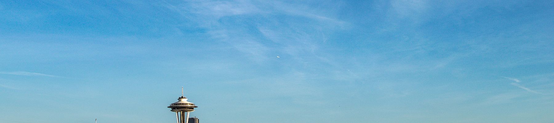 A city skyline with tall buildings and a prominent tower under a clear blue sky, Seattle-like waterfront and distant mountains visible at the horizon.