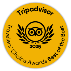 A yellow TripAdvisor badge with owl logo, laurel wreath, and text “2023/2025” plus “Travelers’ Choice Awards Best of the Best,” in a circular badge. Top it at 140 characters, ending the sentence.